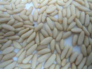 Pine nuts